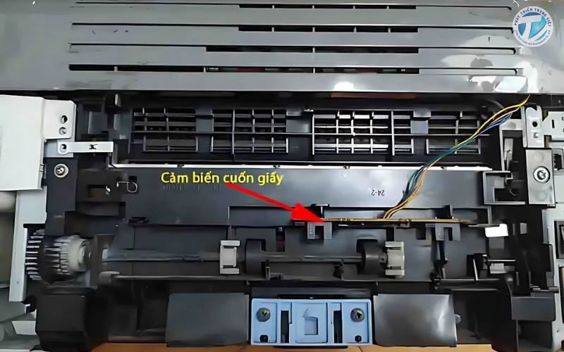 Lỗi từ bộ phận cảm biến giấy